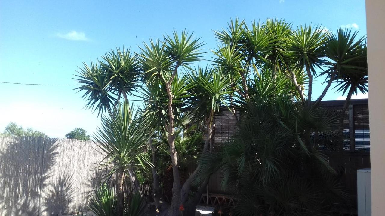 Finca Milagro Villa San Fulgencio Eksteriør bilde
